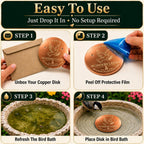 Pure copper bird bath disc by Healing Monk