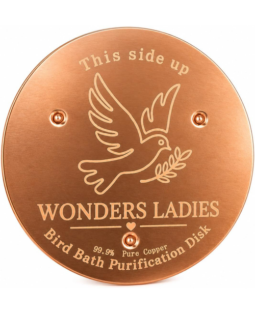Healing Monk pure copper bird bath disc